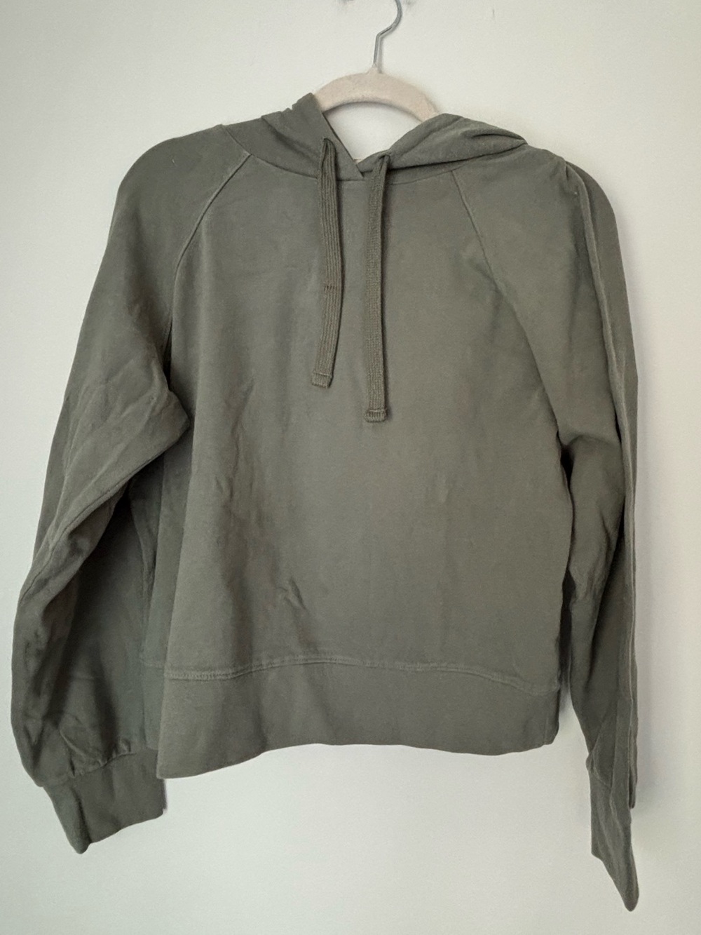 Pact Organic Cotton Sage Green Cloud Knit Organic Cotton Hooded Sweatshirt